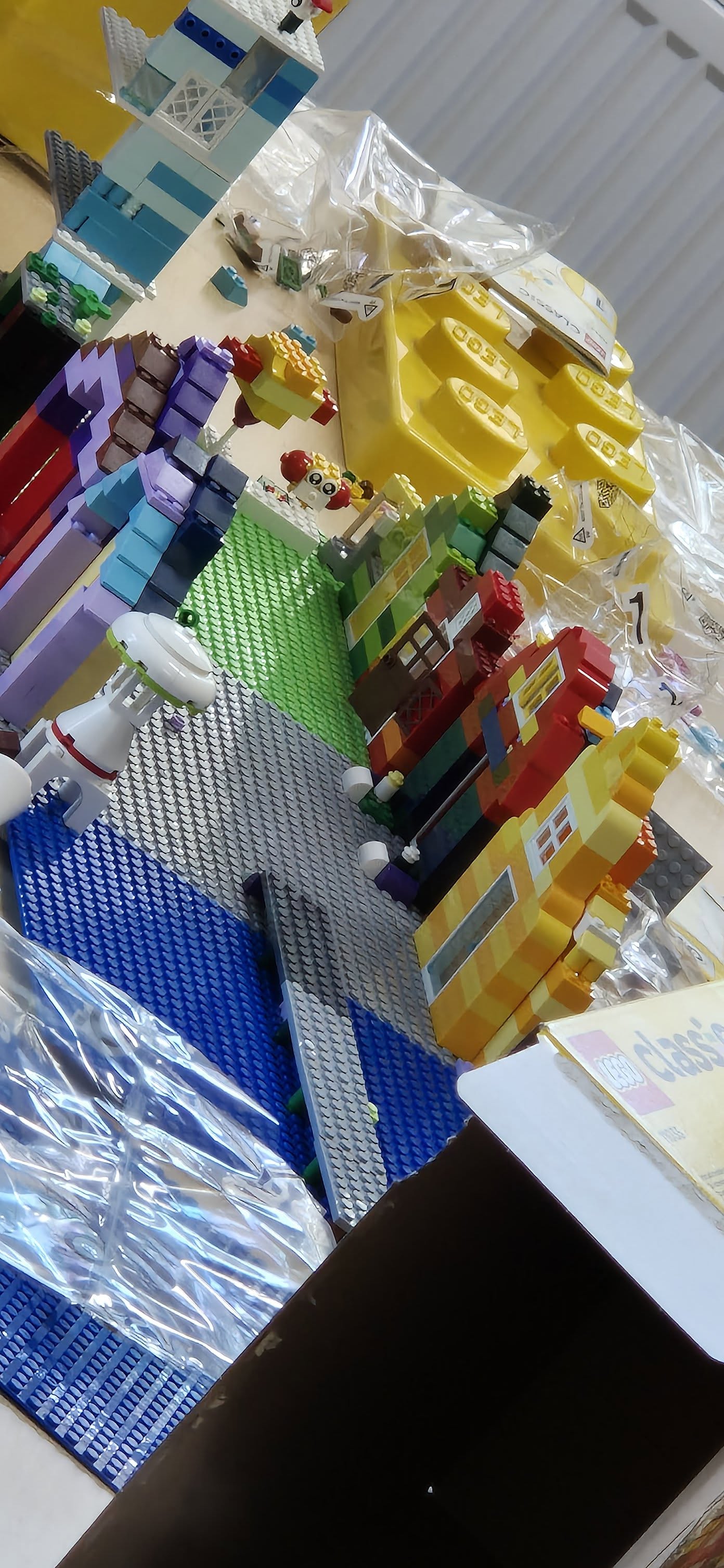 499552805 1085931916908481 6654006681767544475 N