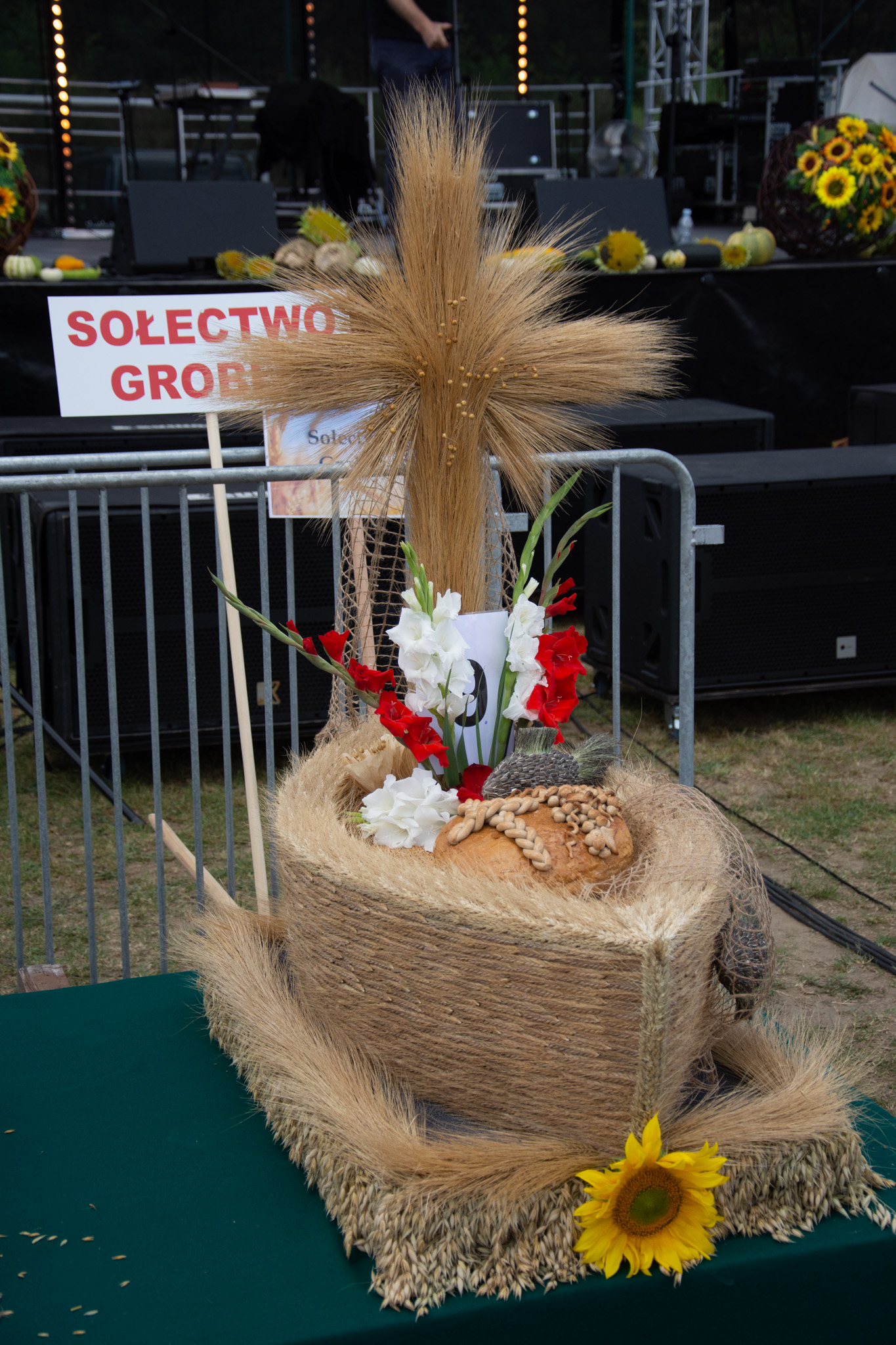 537025838 1189614226527300 3406752879558289706 N