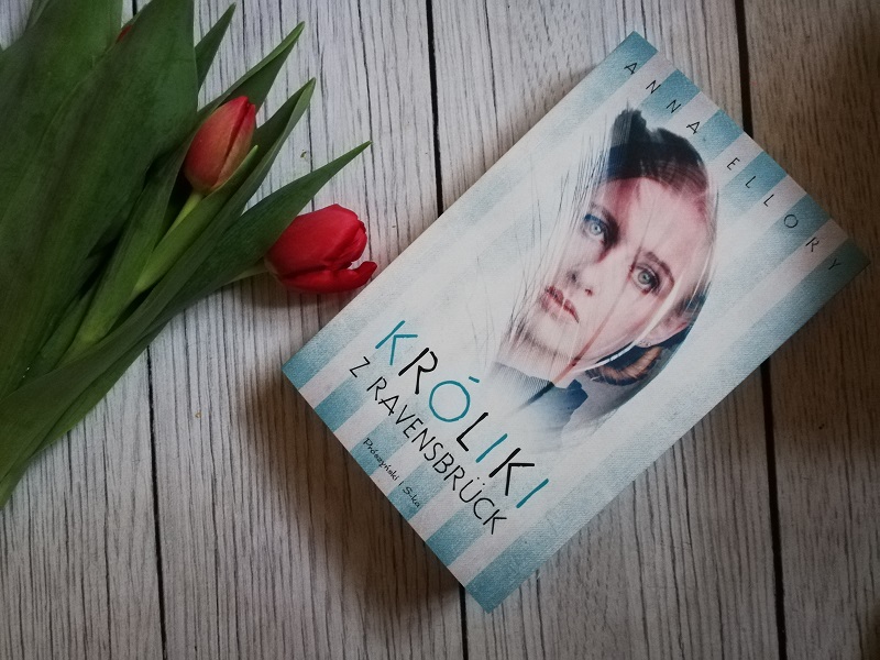 482240771 1032303728937967 1805033483839453773 N