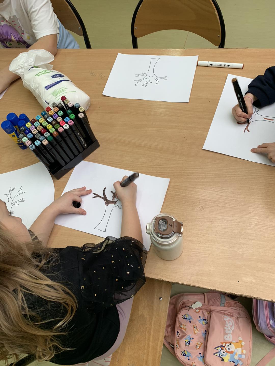 622752407 781304821648583 3560393532127916130 N