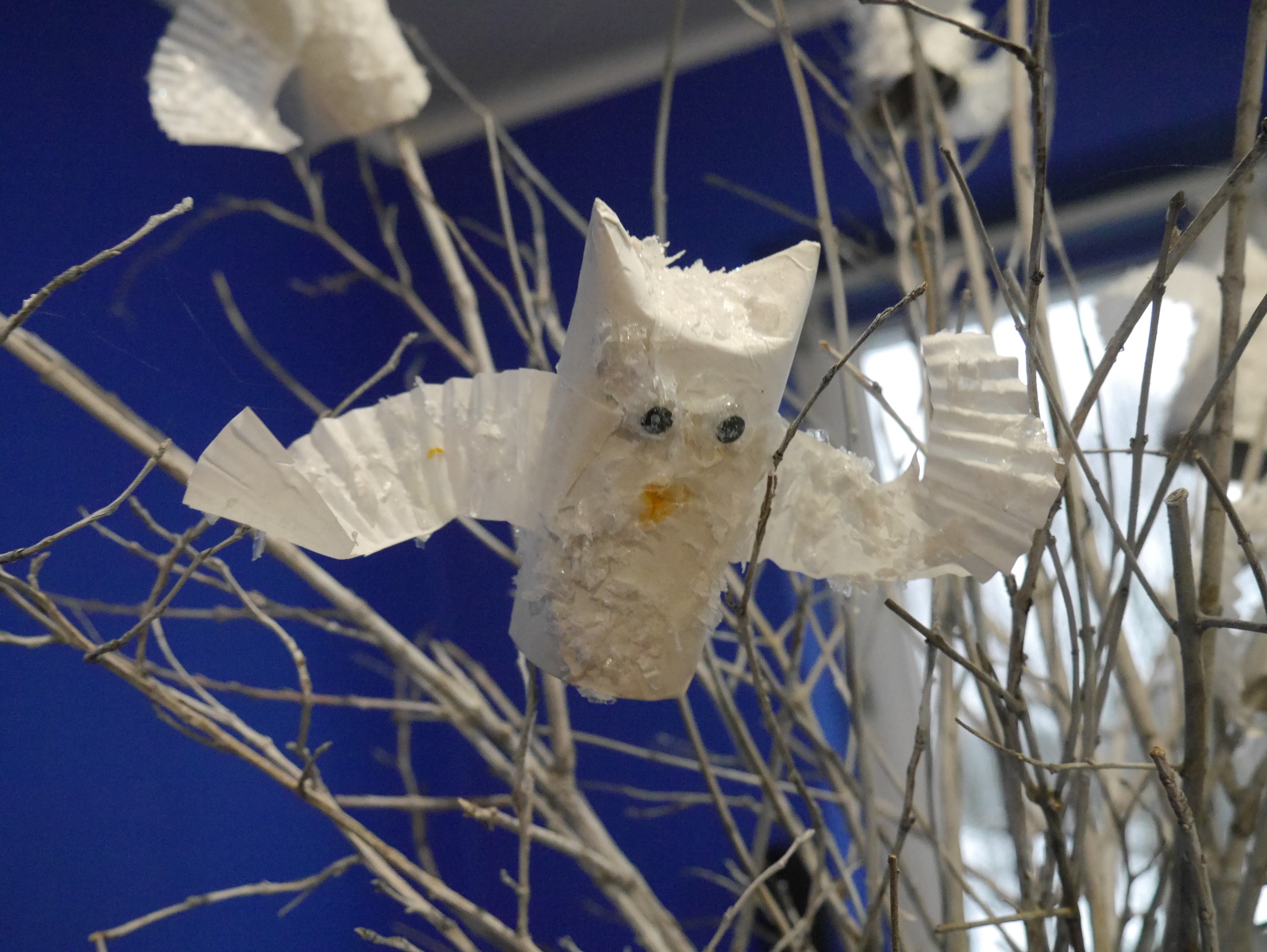 589624259 1309083871019104 2562903501616090124 N