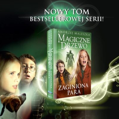 484389565 1034871288681211 6905253866519754431 N