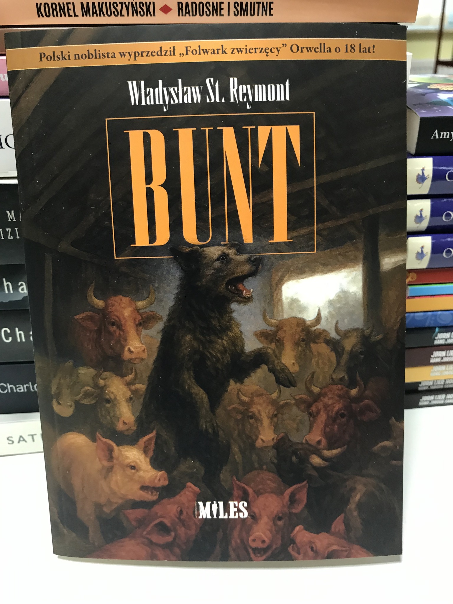 591403443 1692892948807917 7465106621174682203 N