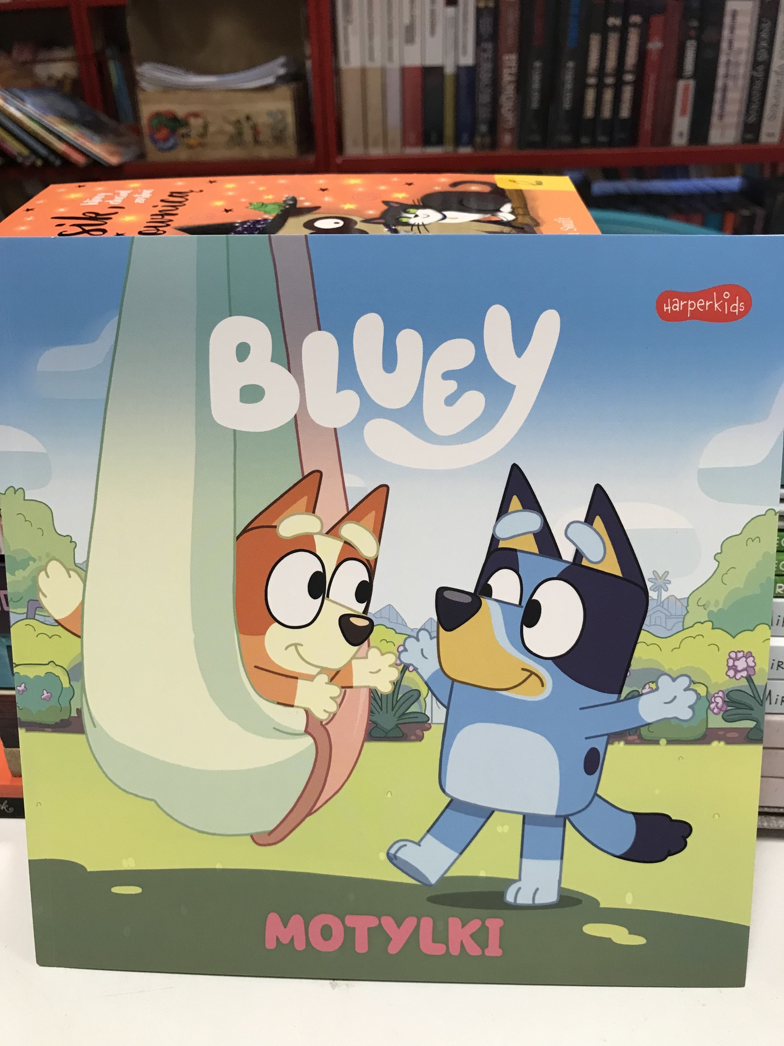 514316209 1558489882248225 7040823192037841094 N