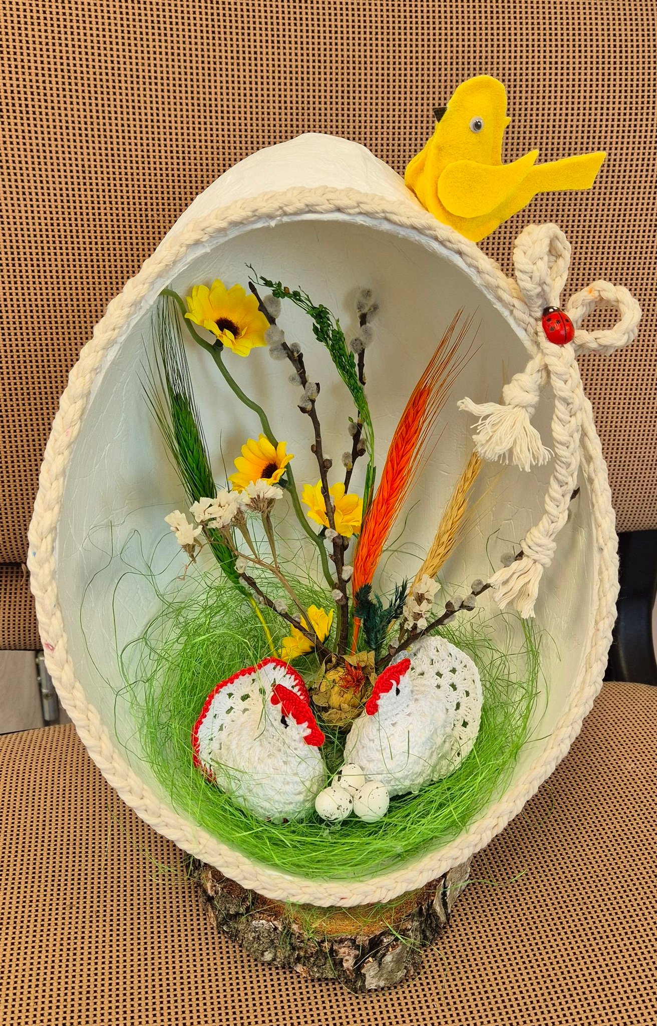 491706048 1061723699329303 7396964915084254776 N