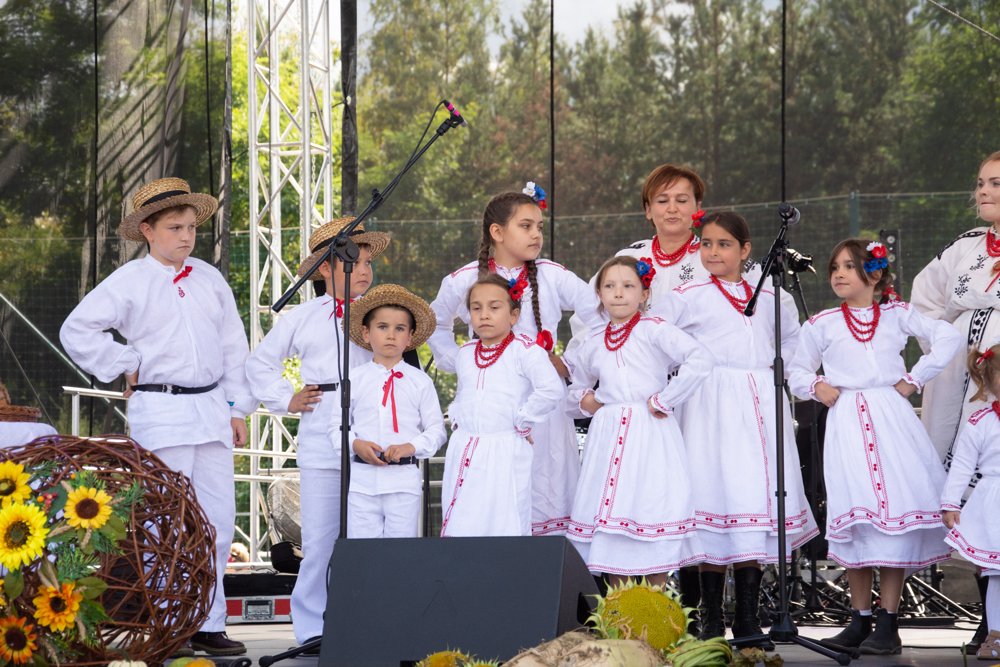 536273546 1189615903193799 2090692725805653244 N