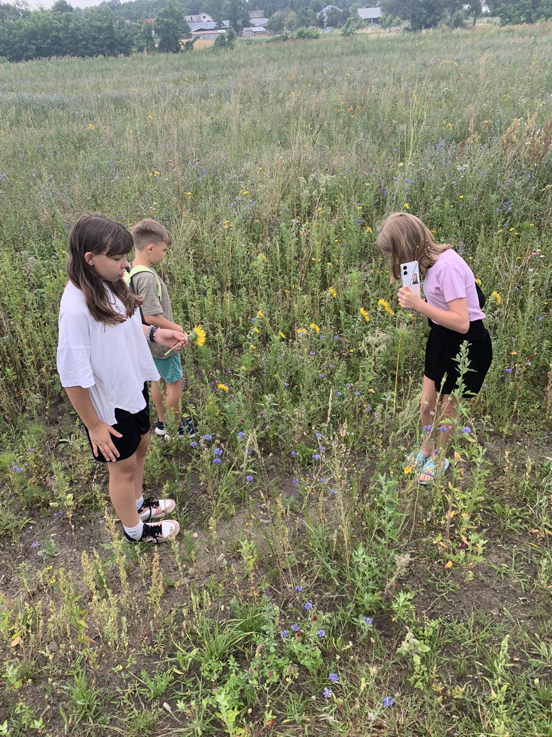 504429446 629486106830456 1066131507187365173 N