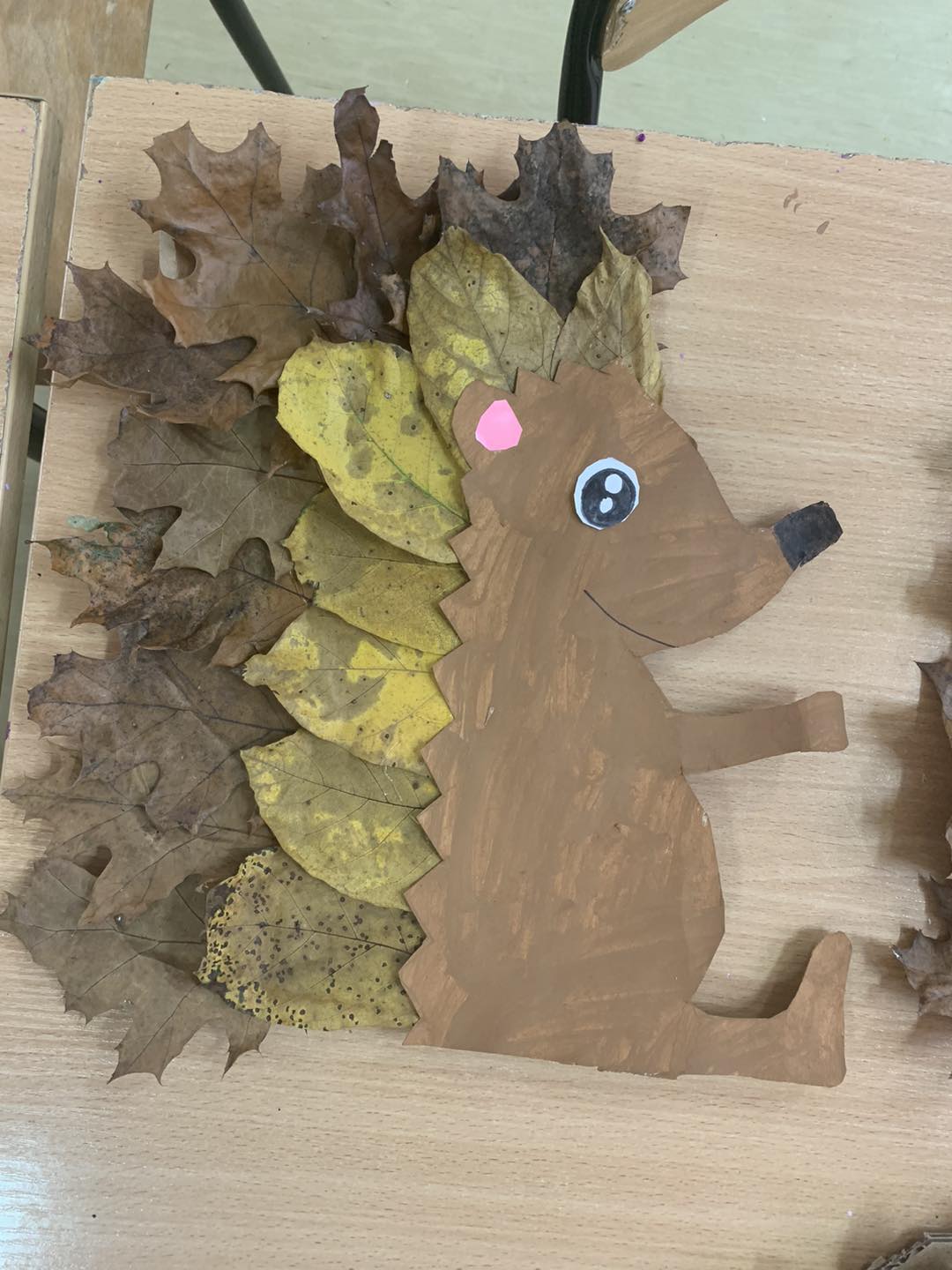 571194091 711930351919364 5662923277828742354 N