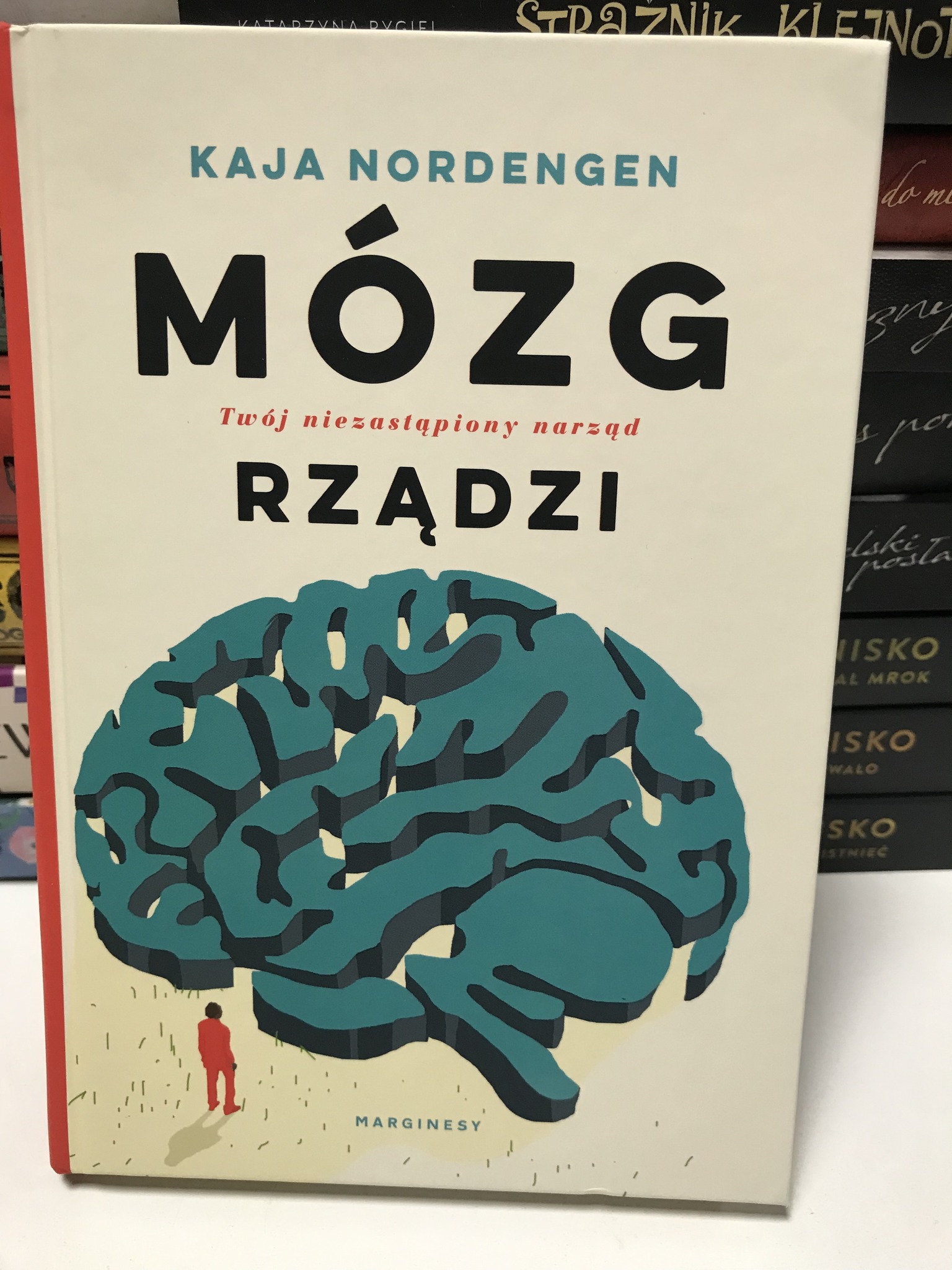 582698922 1685338372896708 4522222495228970854 N