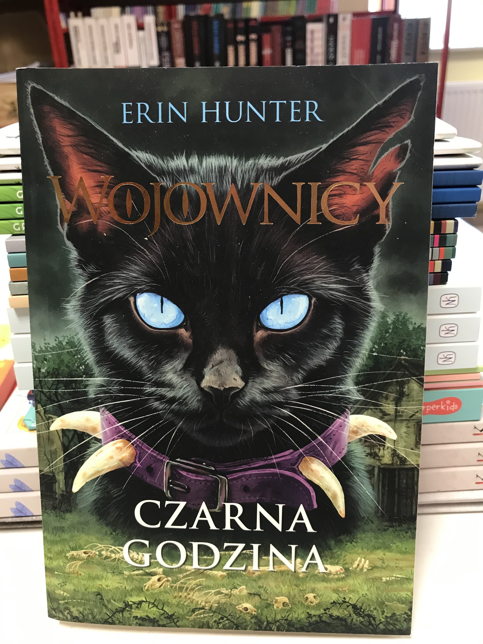 515258911 1558489115581635 3368995903570757045 N