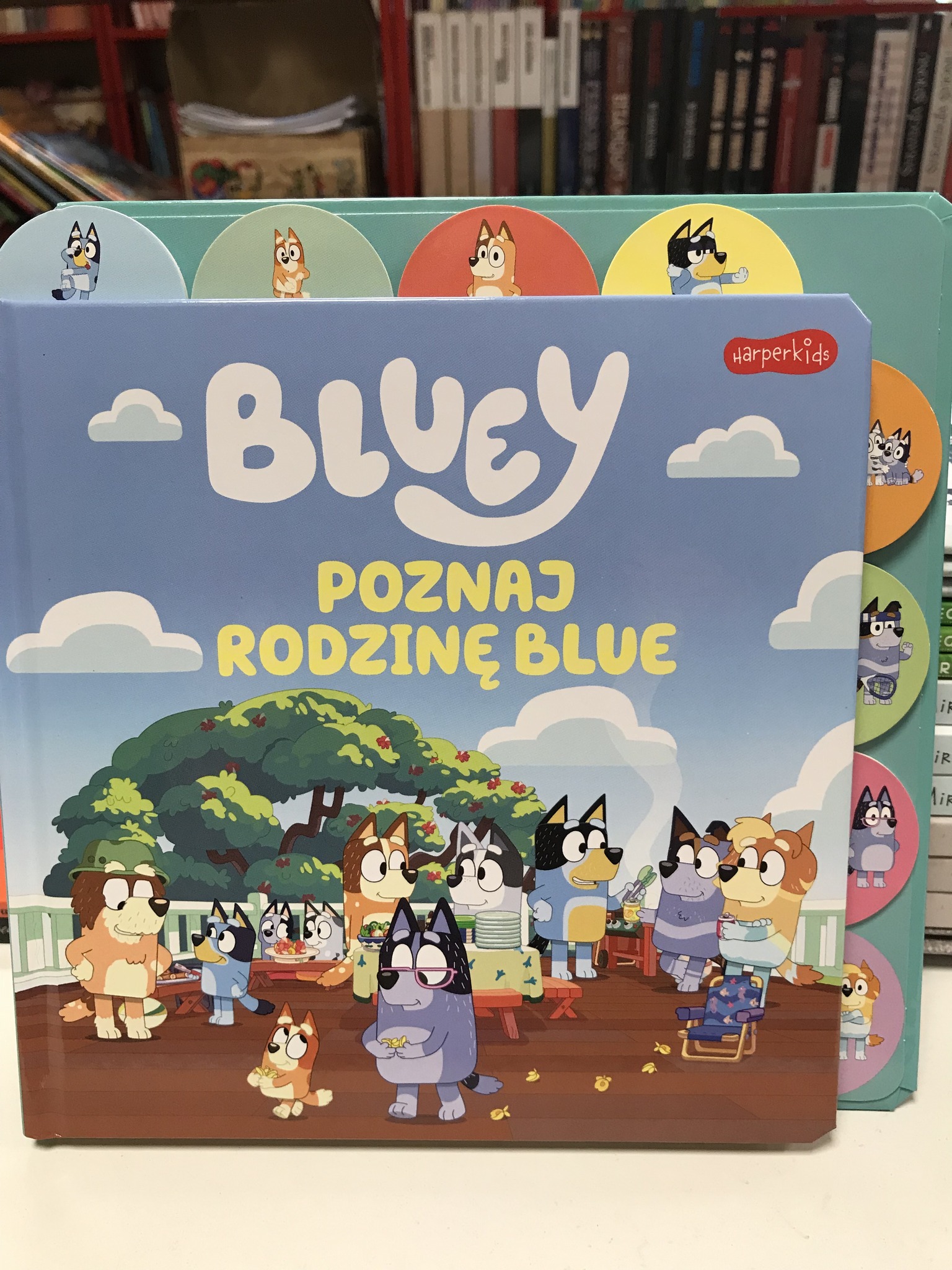 514068421 1558489705581576 5294060869927585957 N