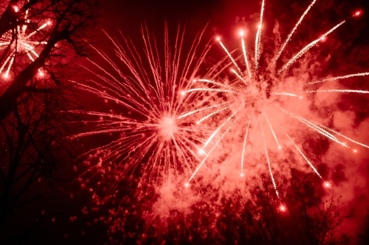 11 Listopada 2025 205