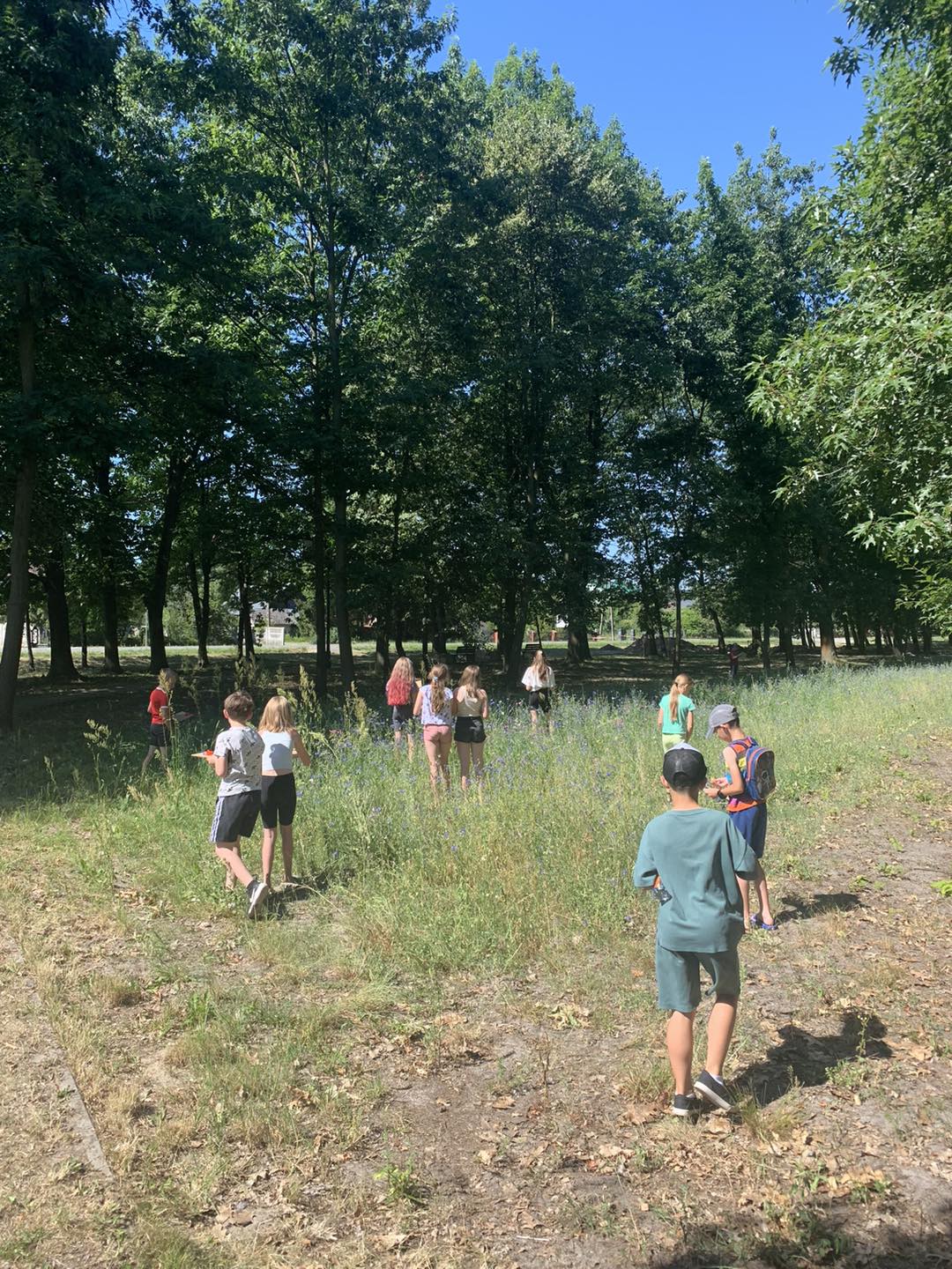 516866900 622829784162755 6967660162480577591 N