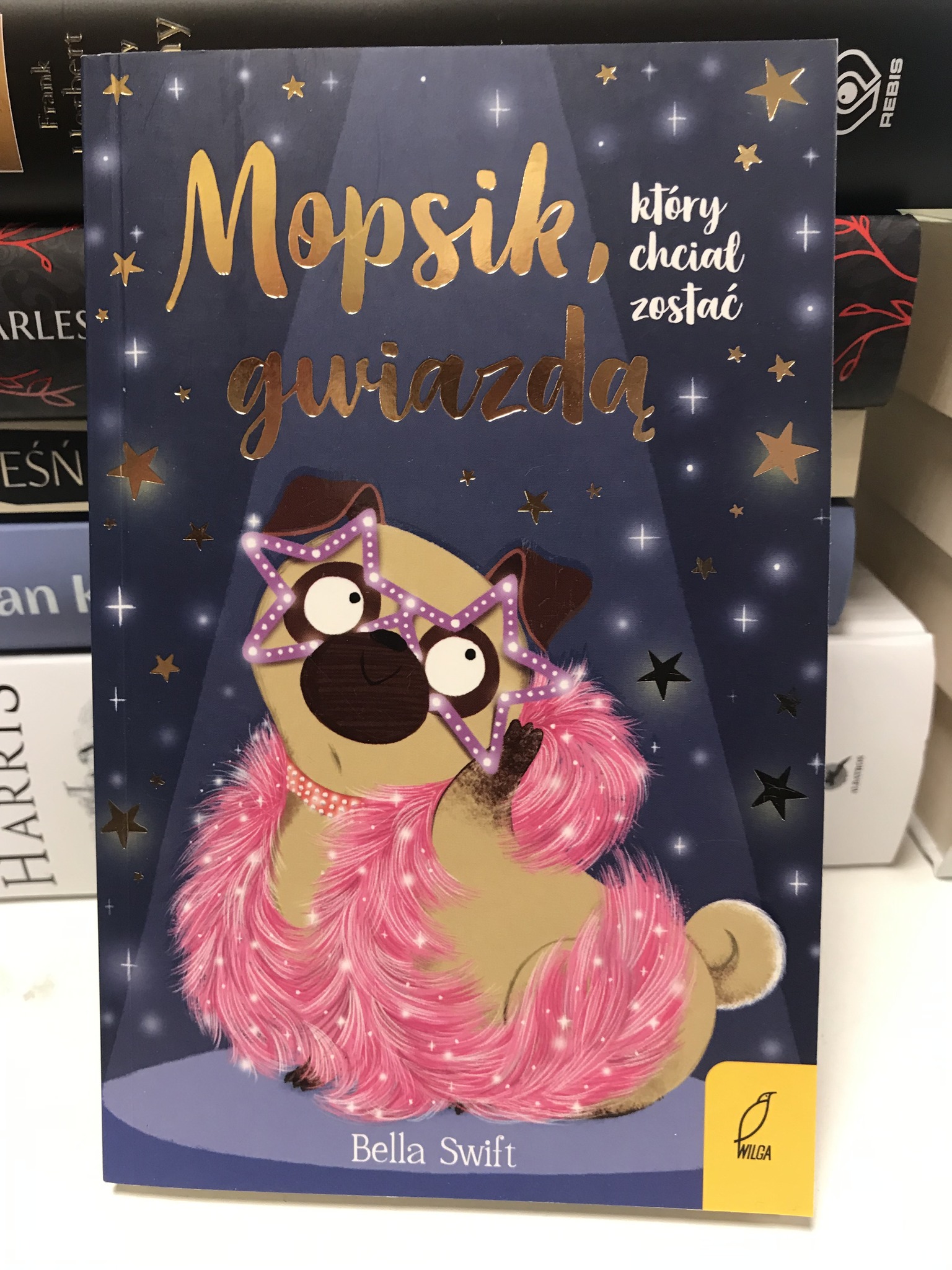 492384822 1502615031169044 958249821905045966 N