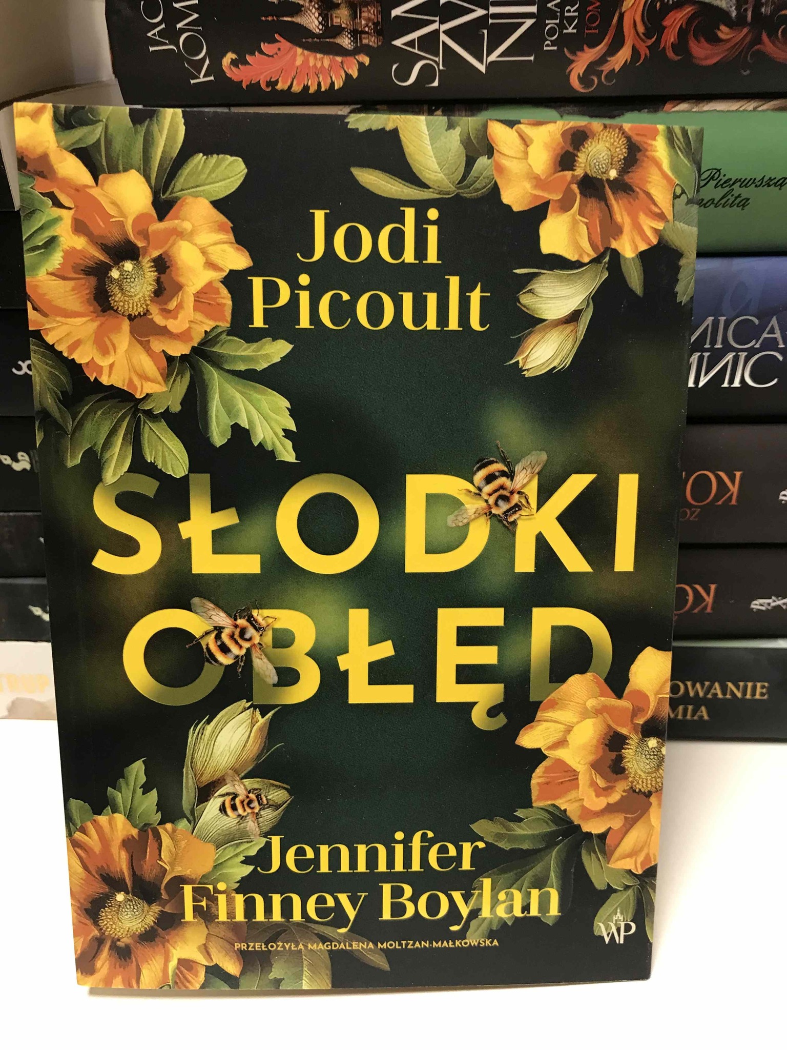 560503915 1650964079667471 3298754071224101907 N