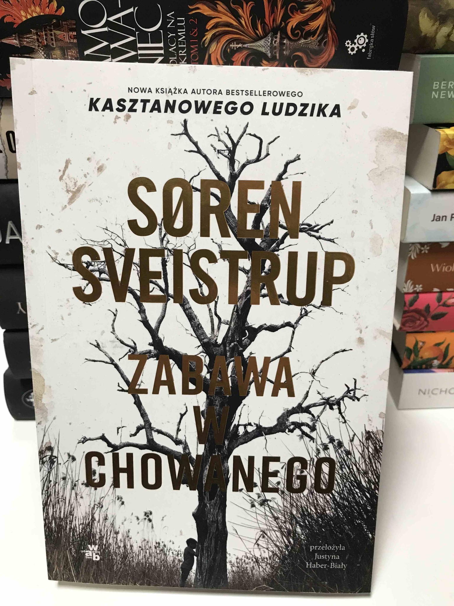 560469129 1650963283000884 3568895280675791716 N