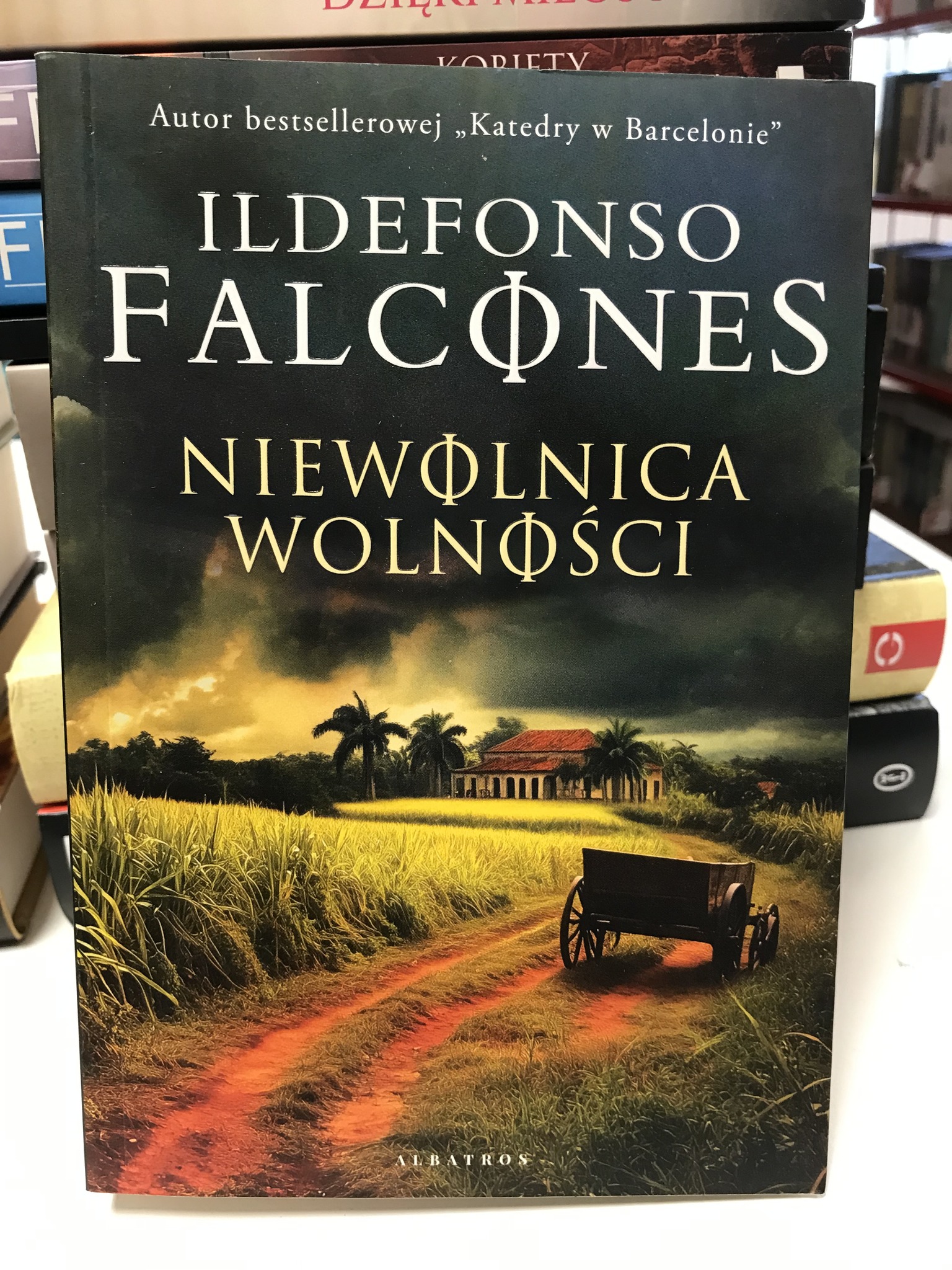 514661032 1558494278914452 2840641159337009662 N