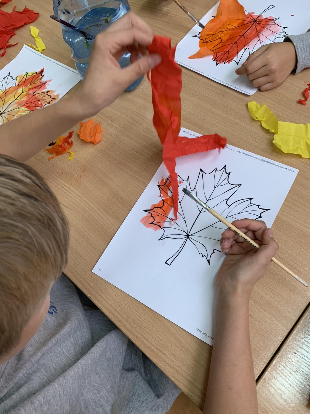 571289919 711930441919355 4406447915845801538 N