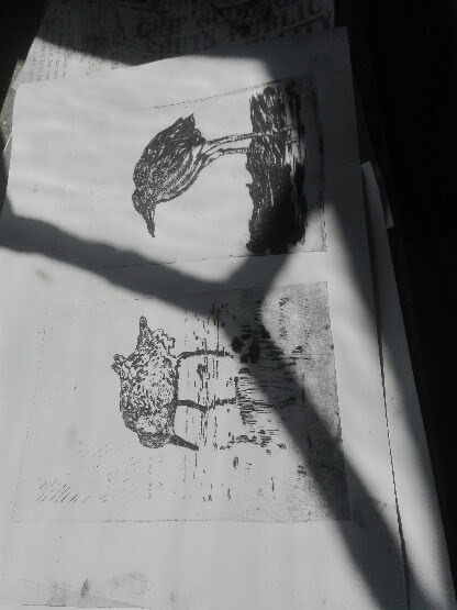 I edycja Jeżowskiego Biegu im. Zygmunta Augusta￼