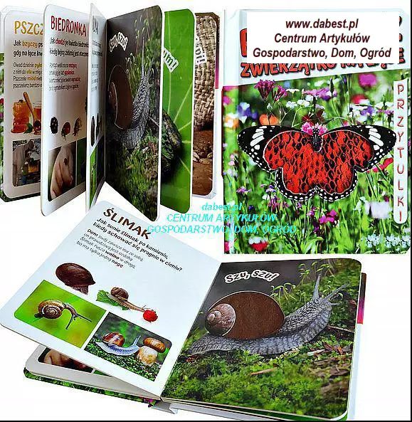 485613133 1040008294834177 2761538587551141033 N