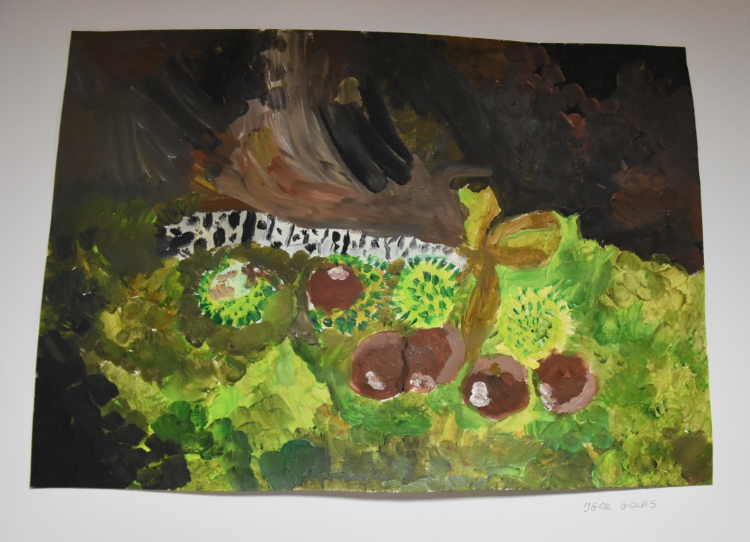 Igor Golas Wyróżnienie (Kategoria 2 Klasy I III)