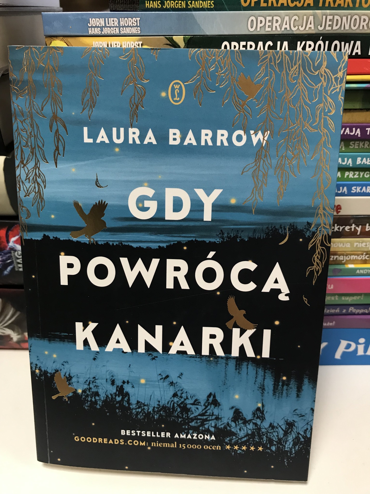 540692527 1607018410728705 4043600168576697475 N