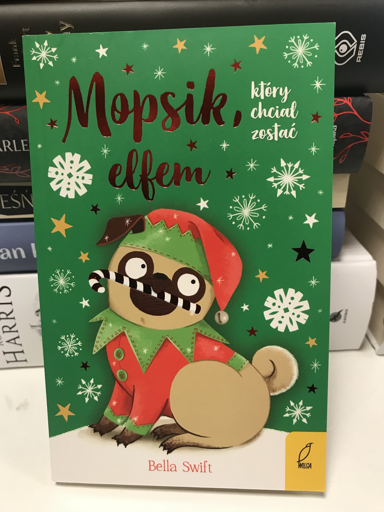 492155117 1502614931169054 8128968448819800343 N