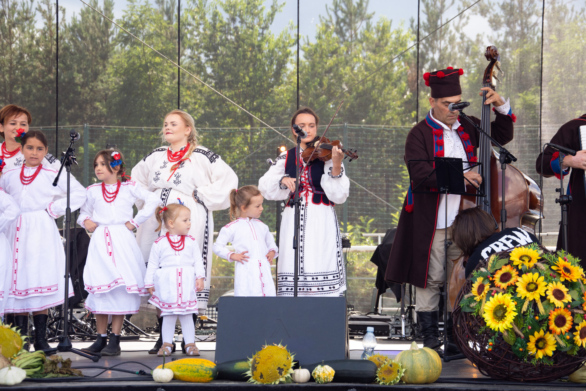 539866865 1189615923193797 1804348786512562862 N