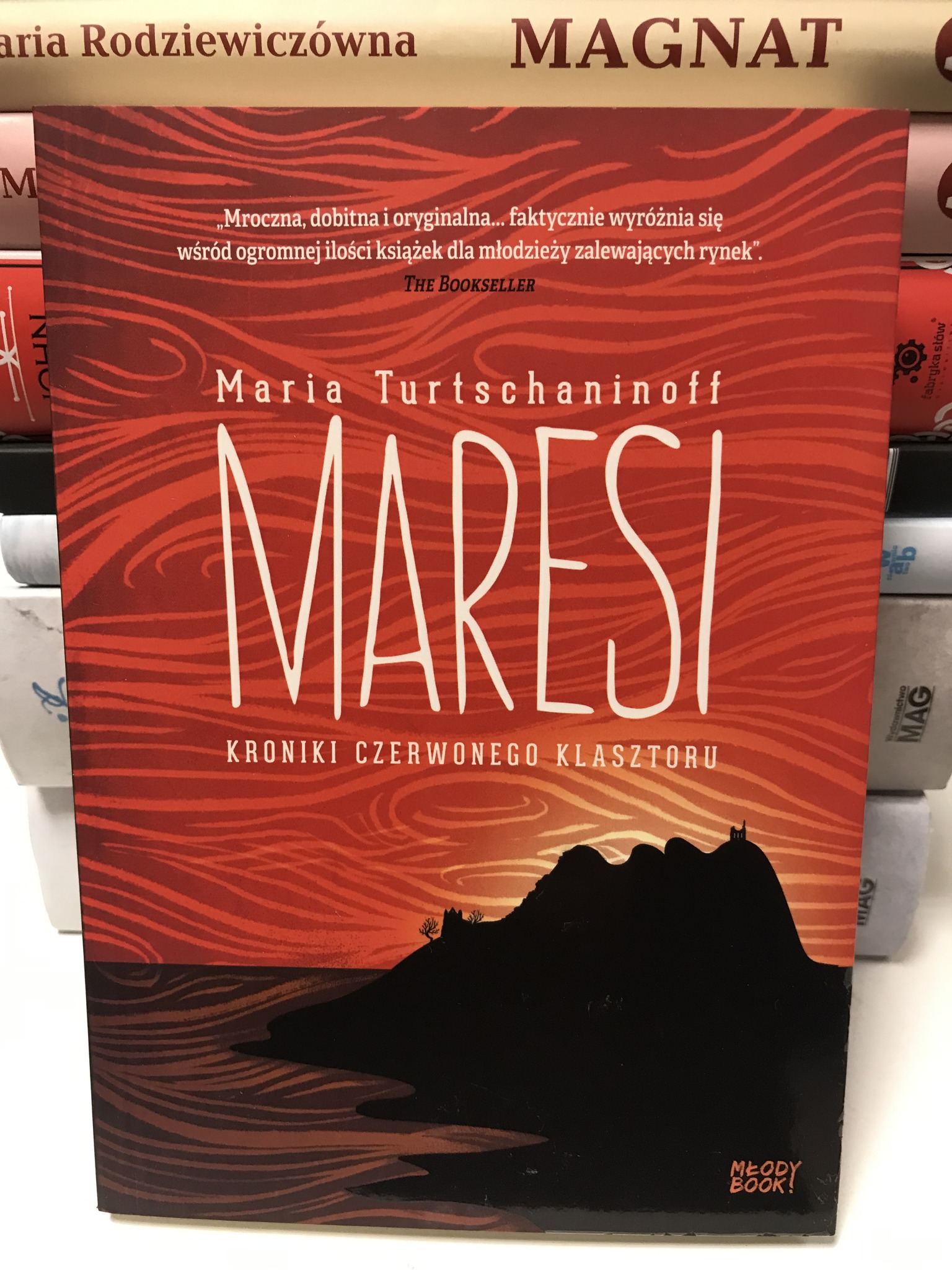 492344289 1502614611169086 4006286166750054693 N