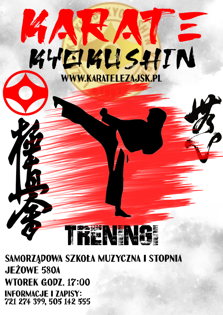 Zajęcia Karate w Jeżowem