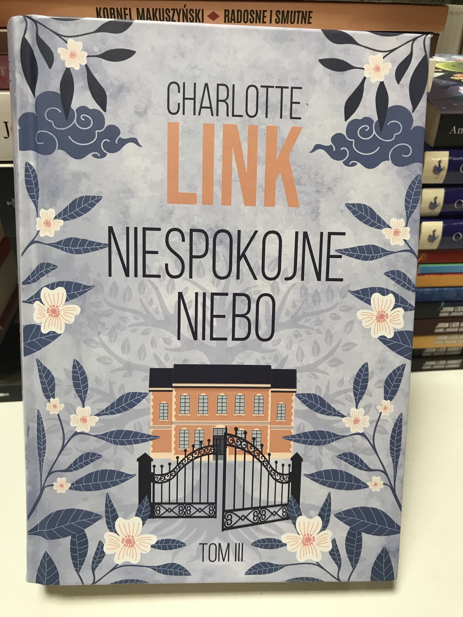 586386085 1692893515474527 7421365612569899262 N