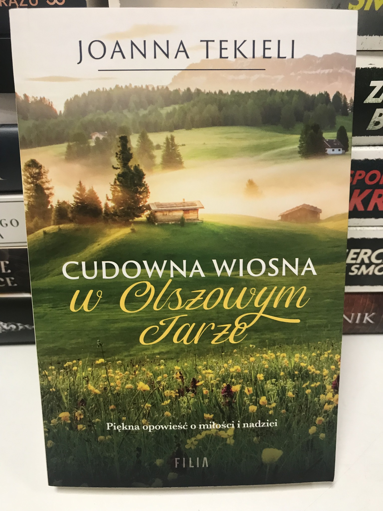 494193636 1504876967609517 1086879574248056687 N