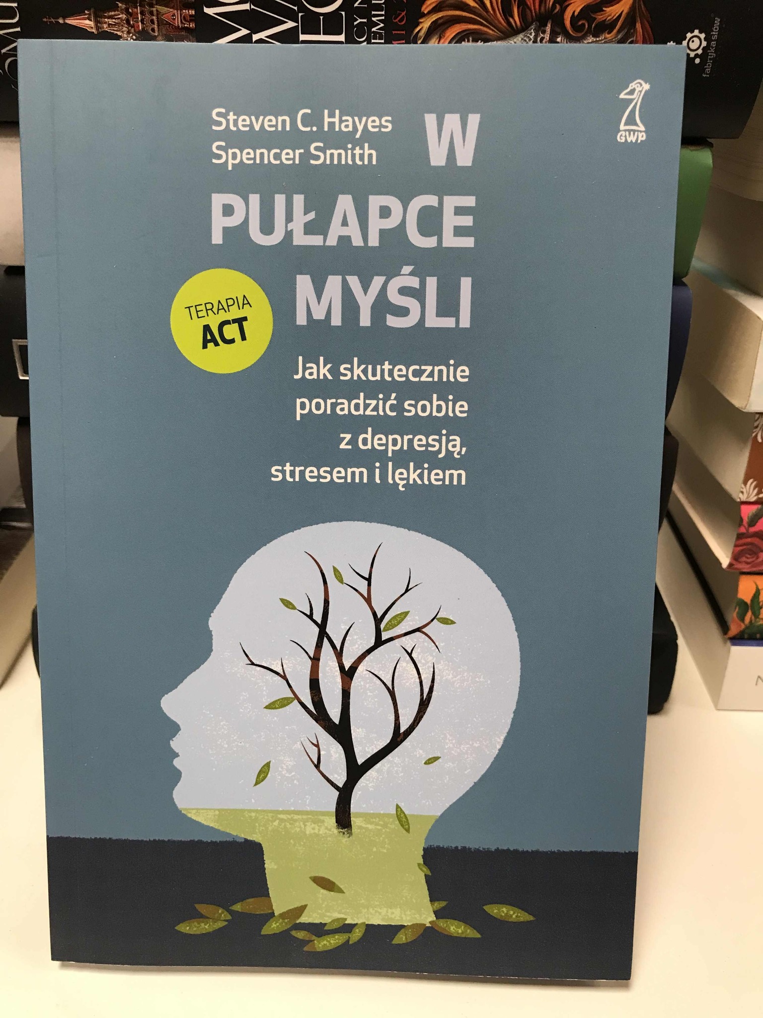 560772759 1650963719667507 6059888173897220921 N