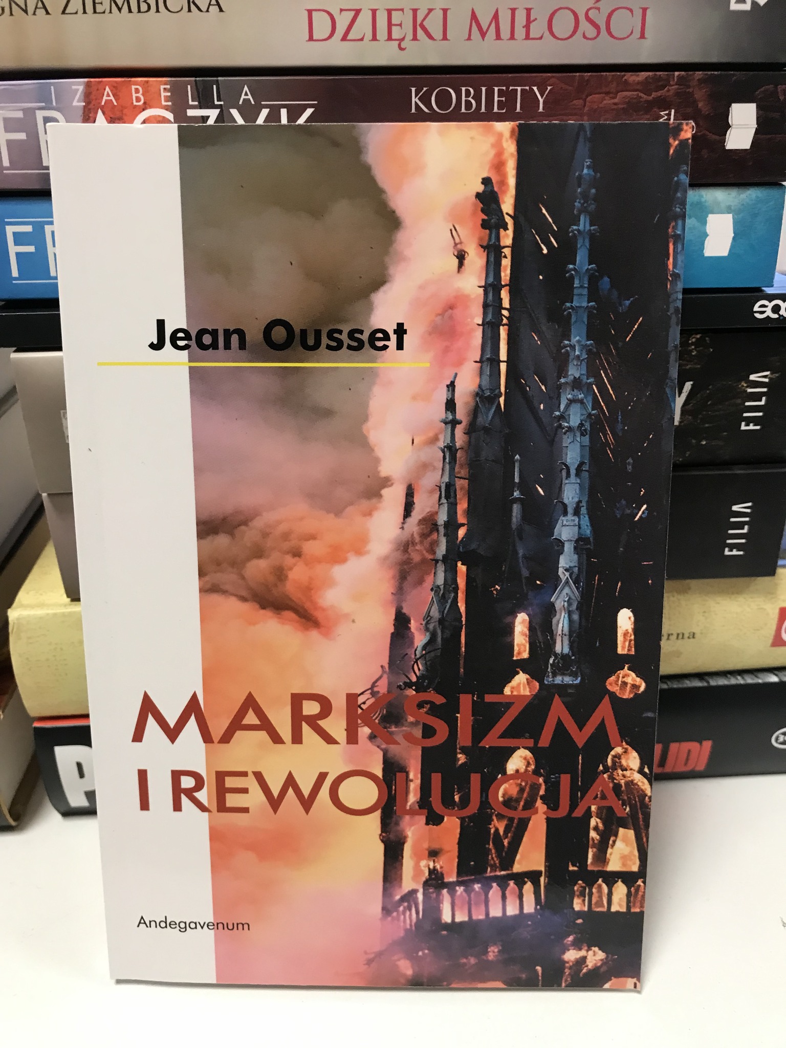 515040786 1558494635581083 2496758378361796451 N