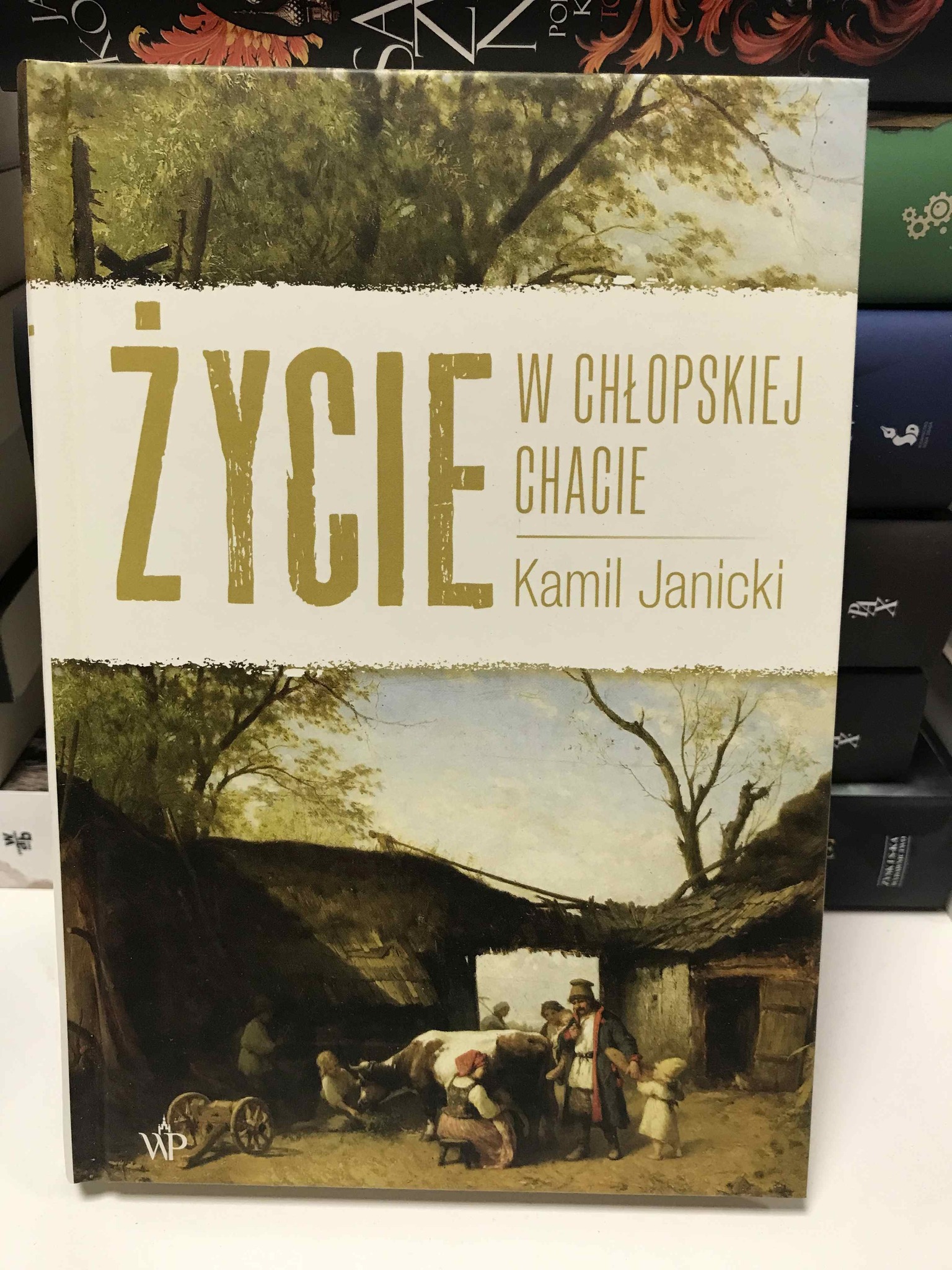 561533329 1650963999667479 4753496459279216805 N