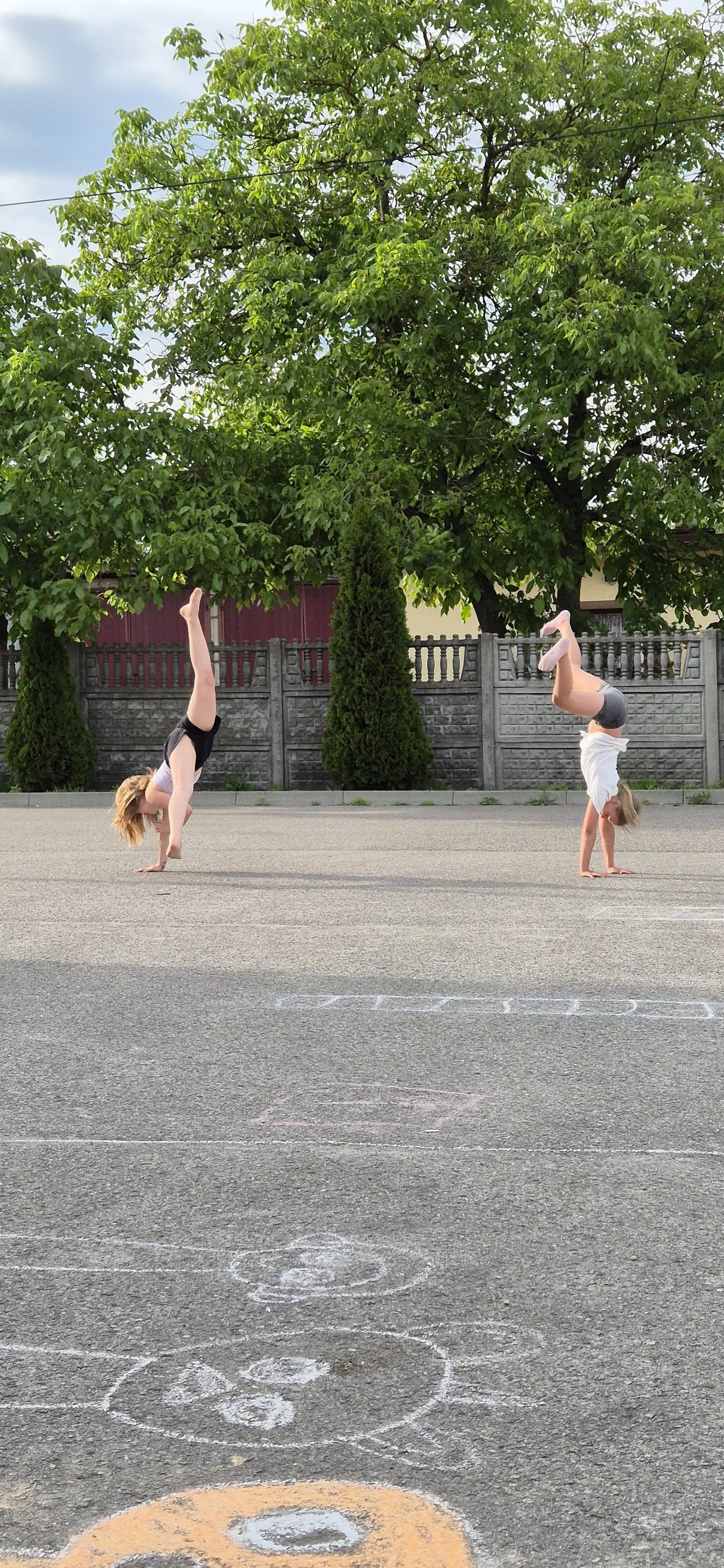 503456916 1097368509098155 4736814014253157645 N