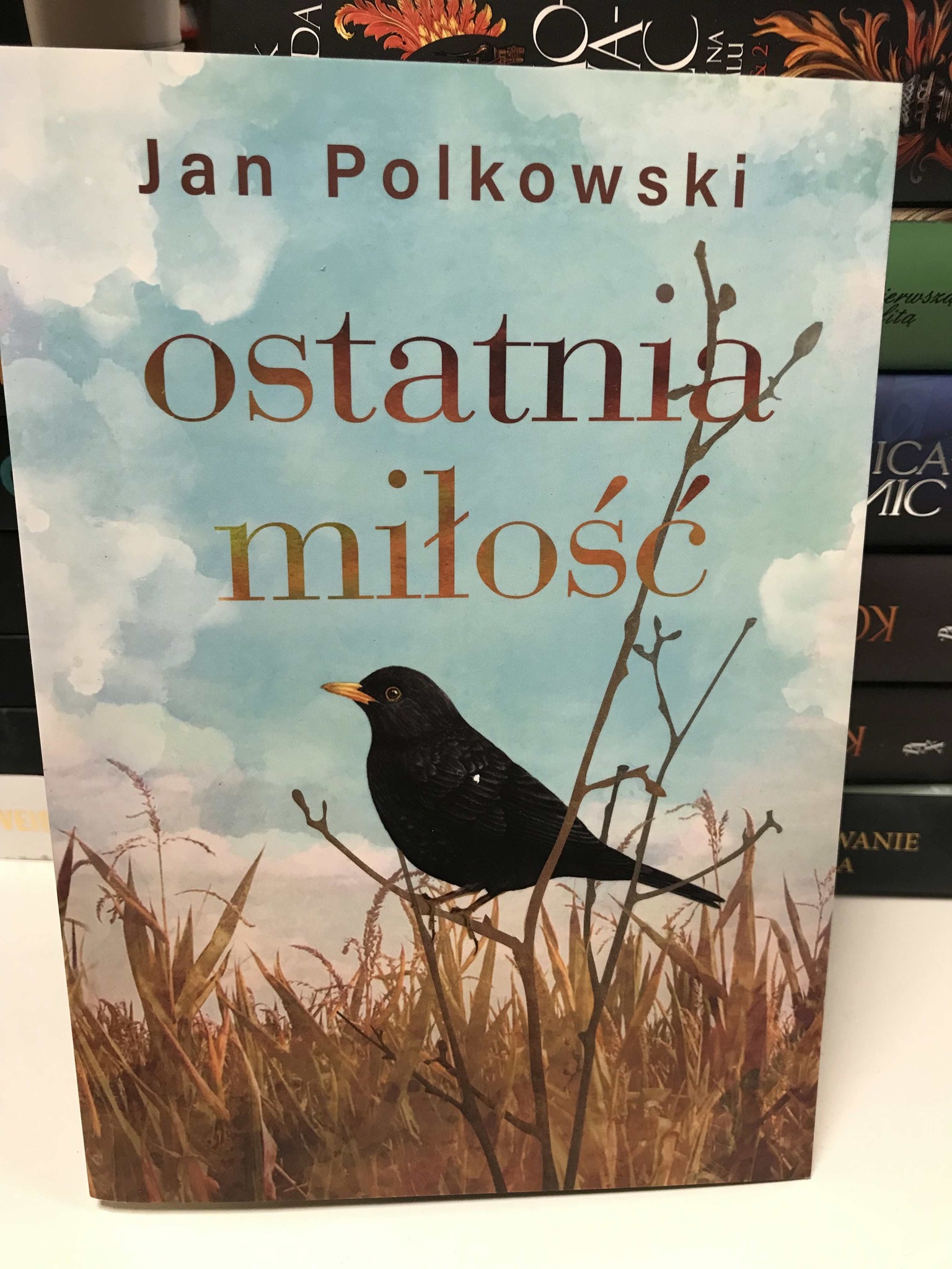 561388177 1650963913000821 3132994651037834284 N