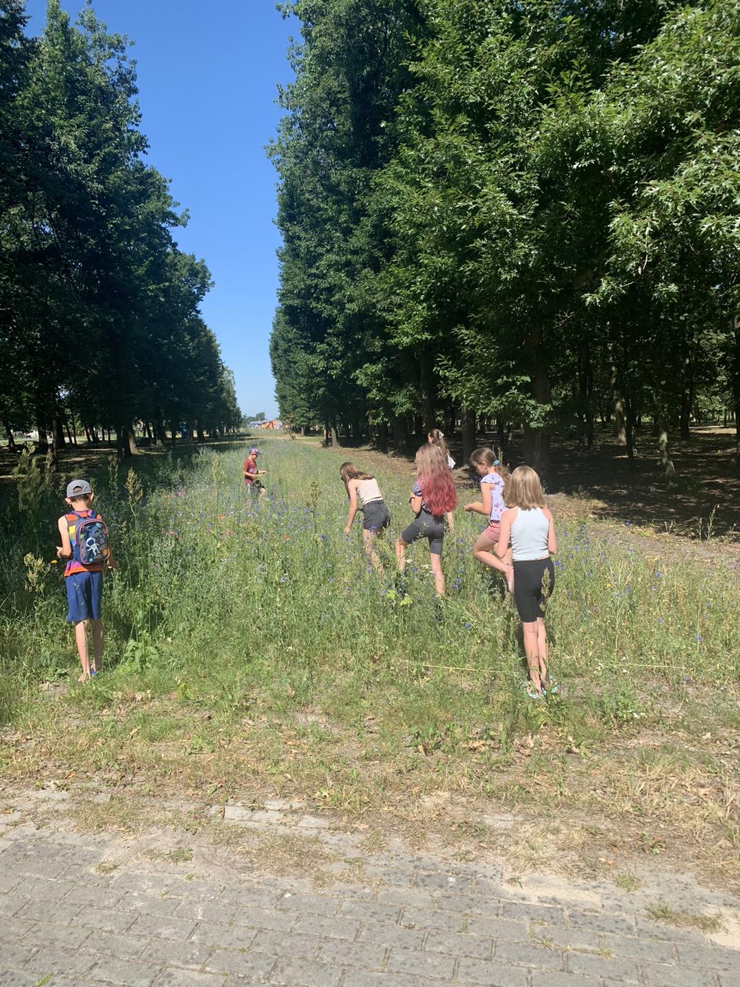 516744121 622829754162758 7737063121669341725 N