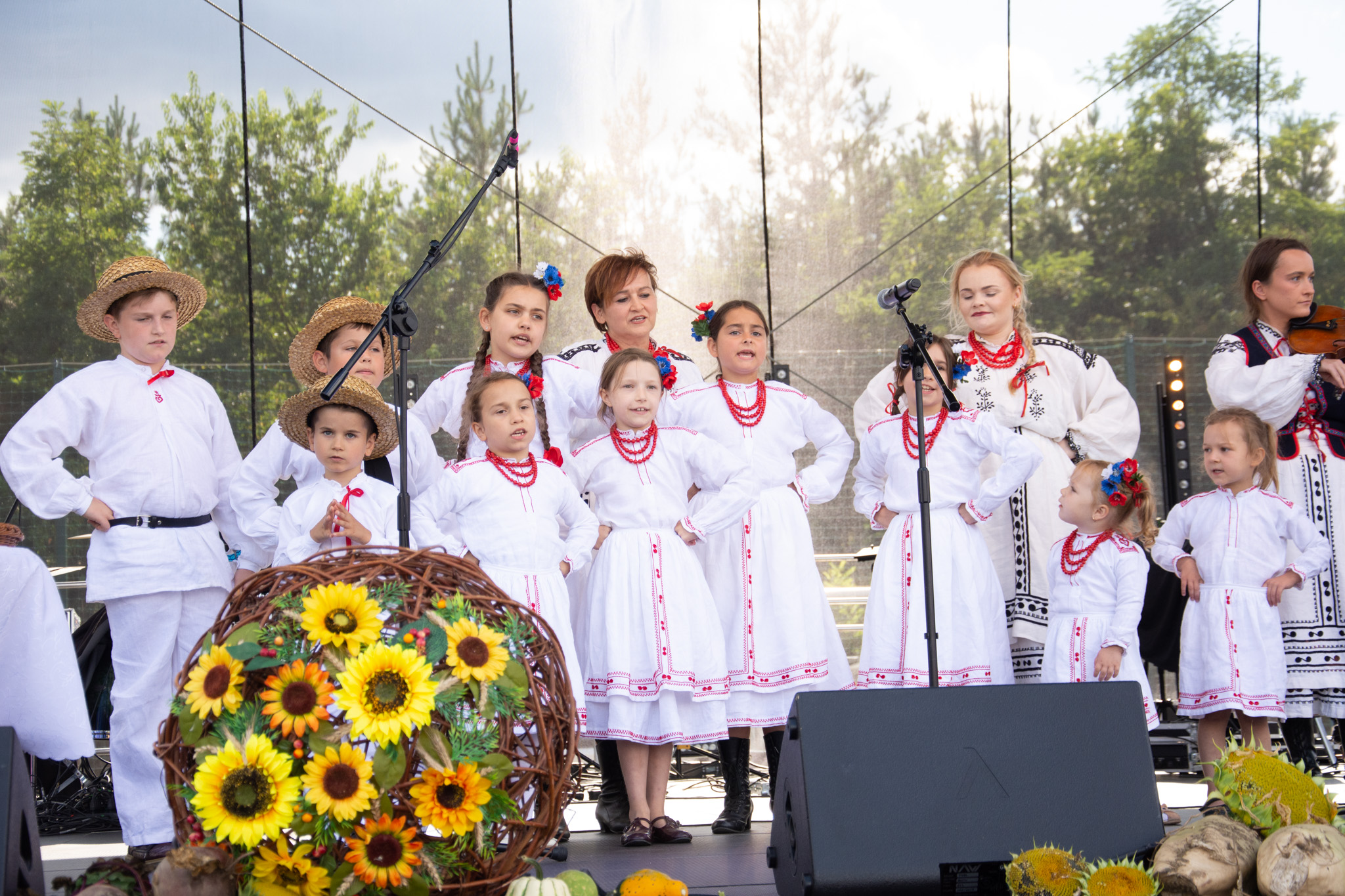 540949692 1189616599860396 8707444353894757196 N