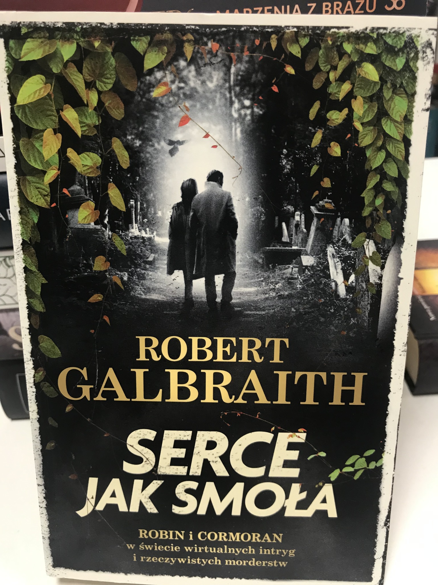 493648645 1504876864276194 3288886612114848666 N