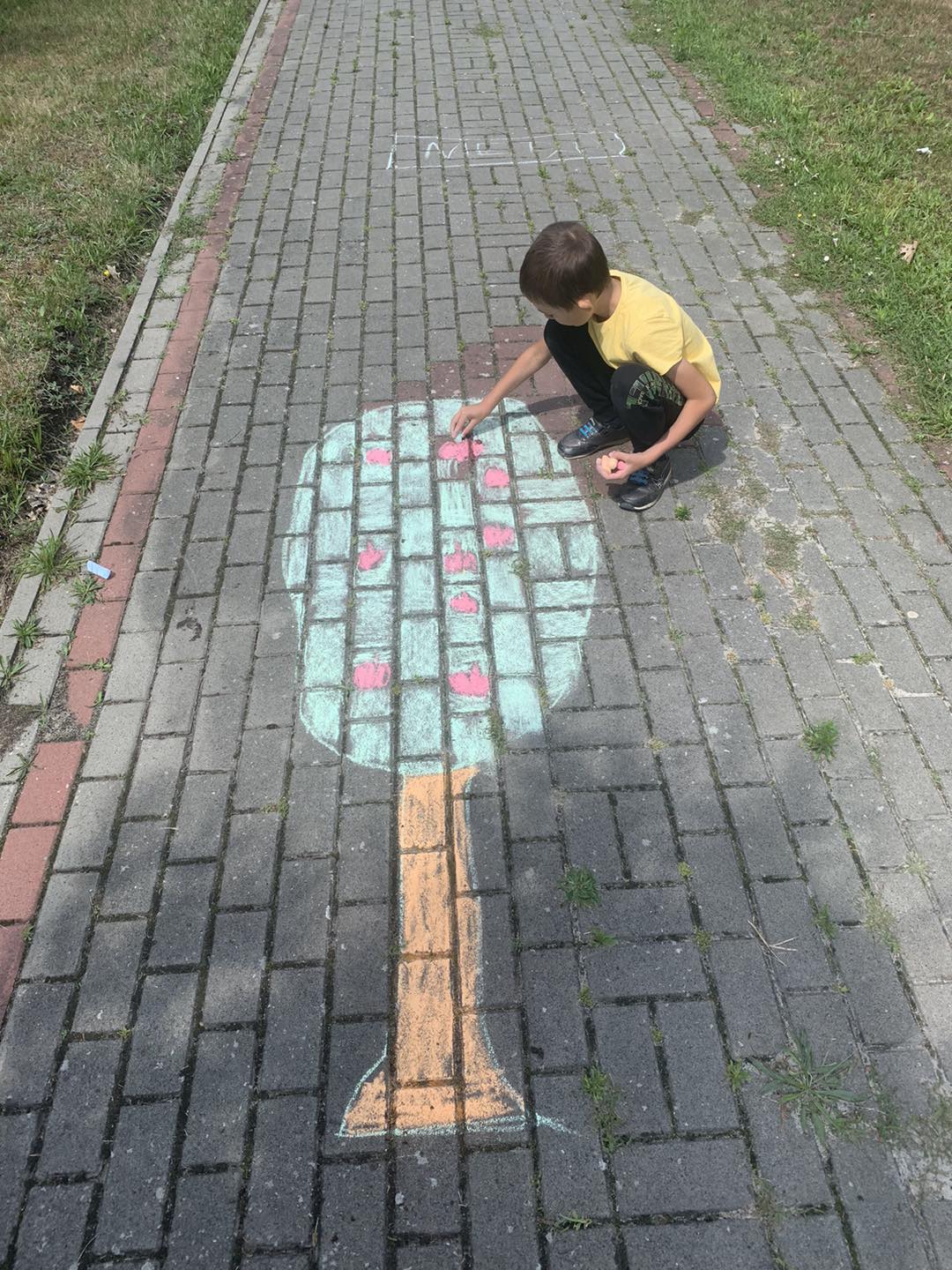 524656766 637088542736879 9020951575589392738 N