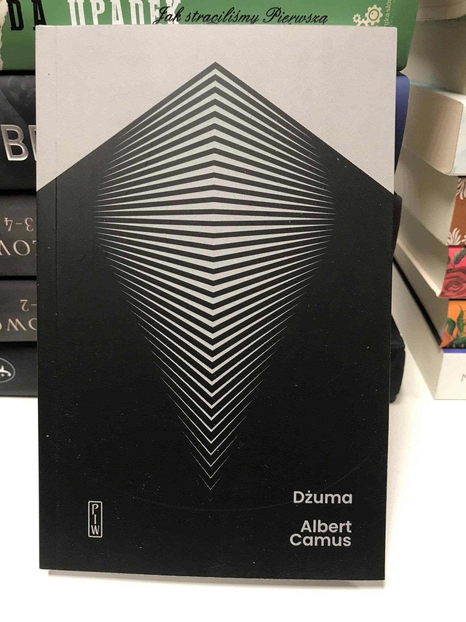 561401675 1650963663000846 7123295937854257109 N