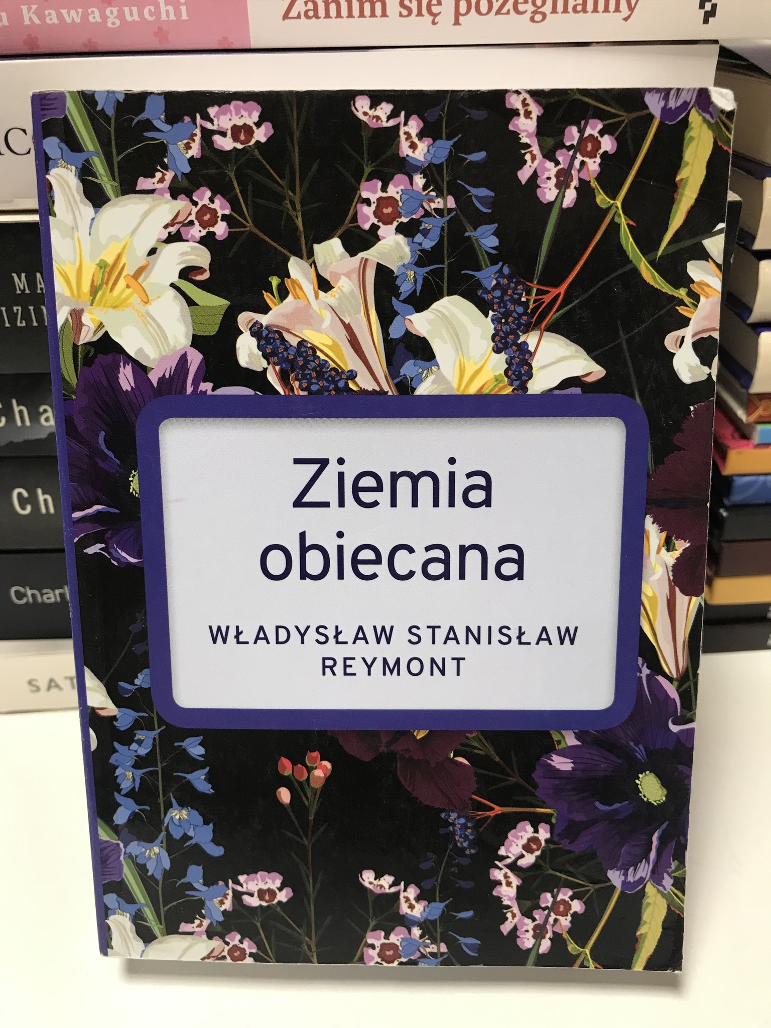 587328397 1692893675474511 6138384514850712978 N