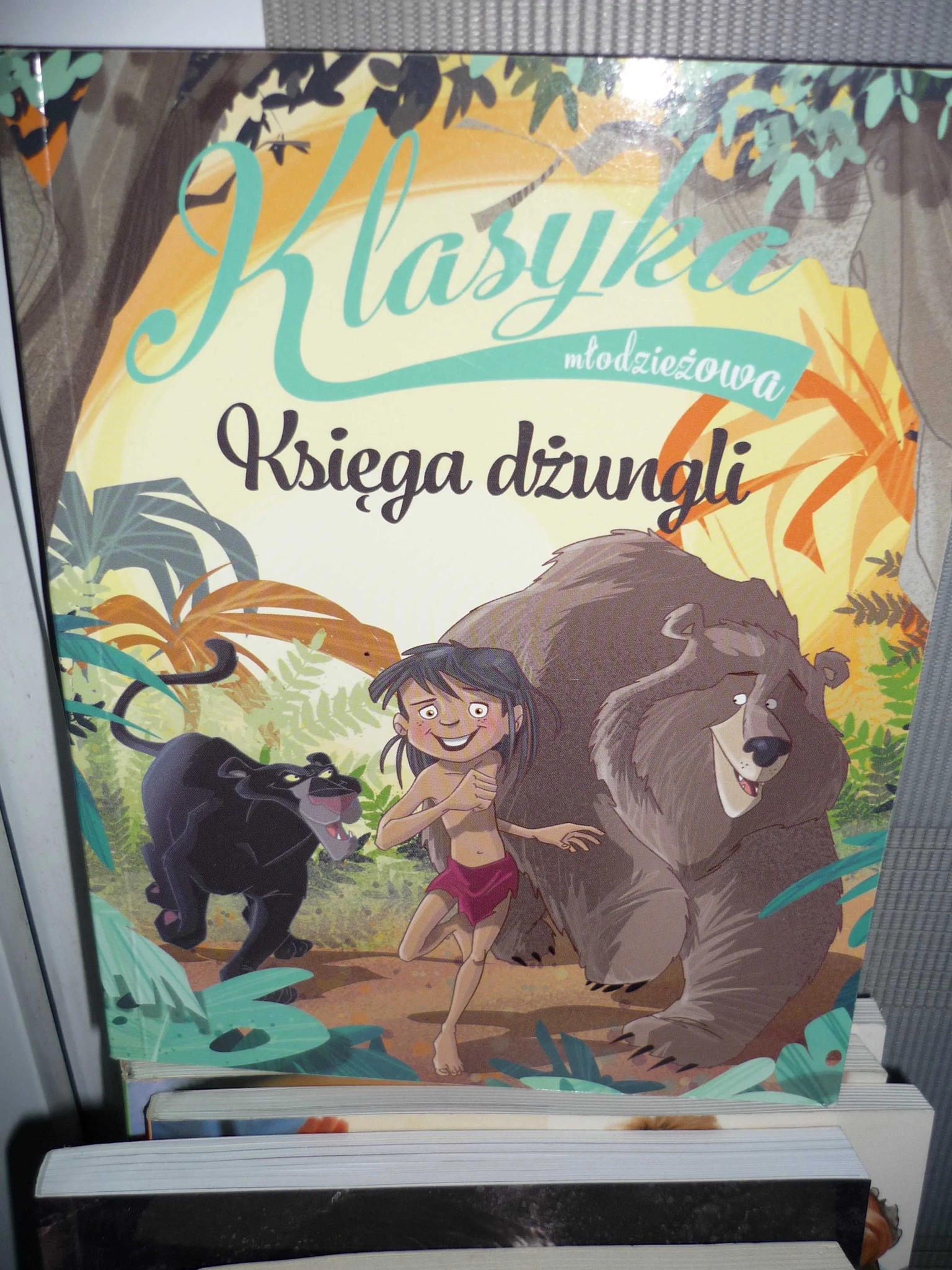 484491669 1033755438792796 1776859811798692767 N