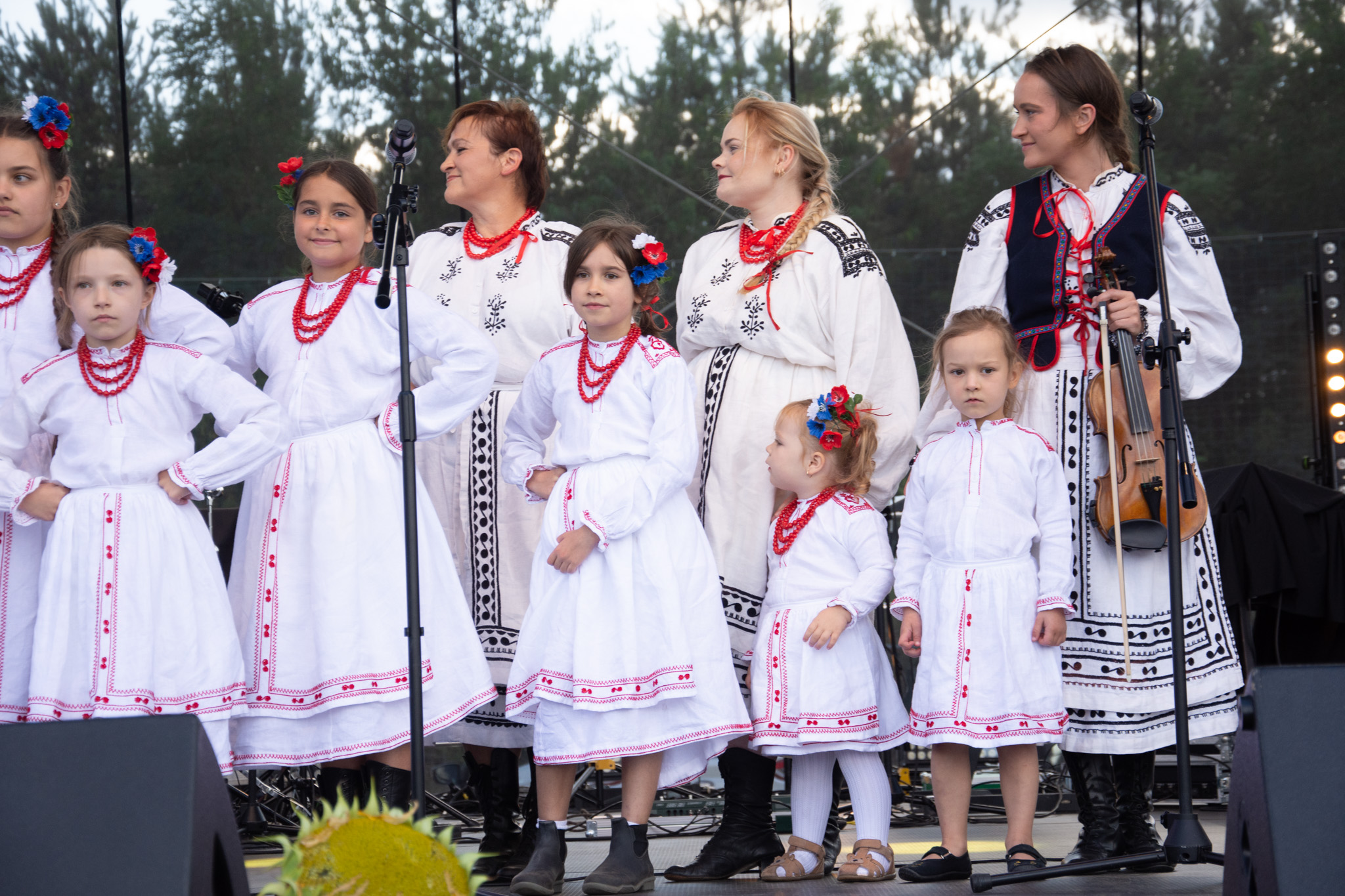 539849154 1189616856527037 5716289079525384064 N