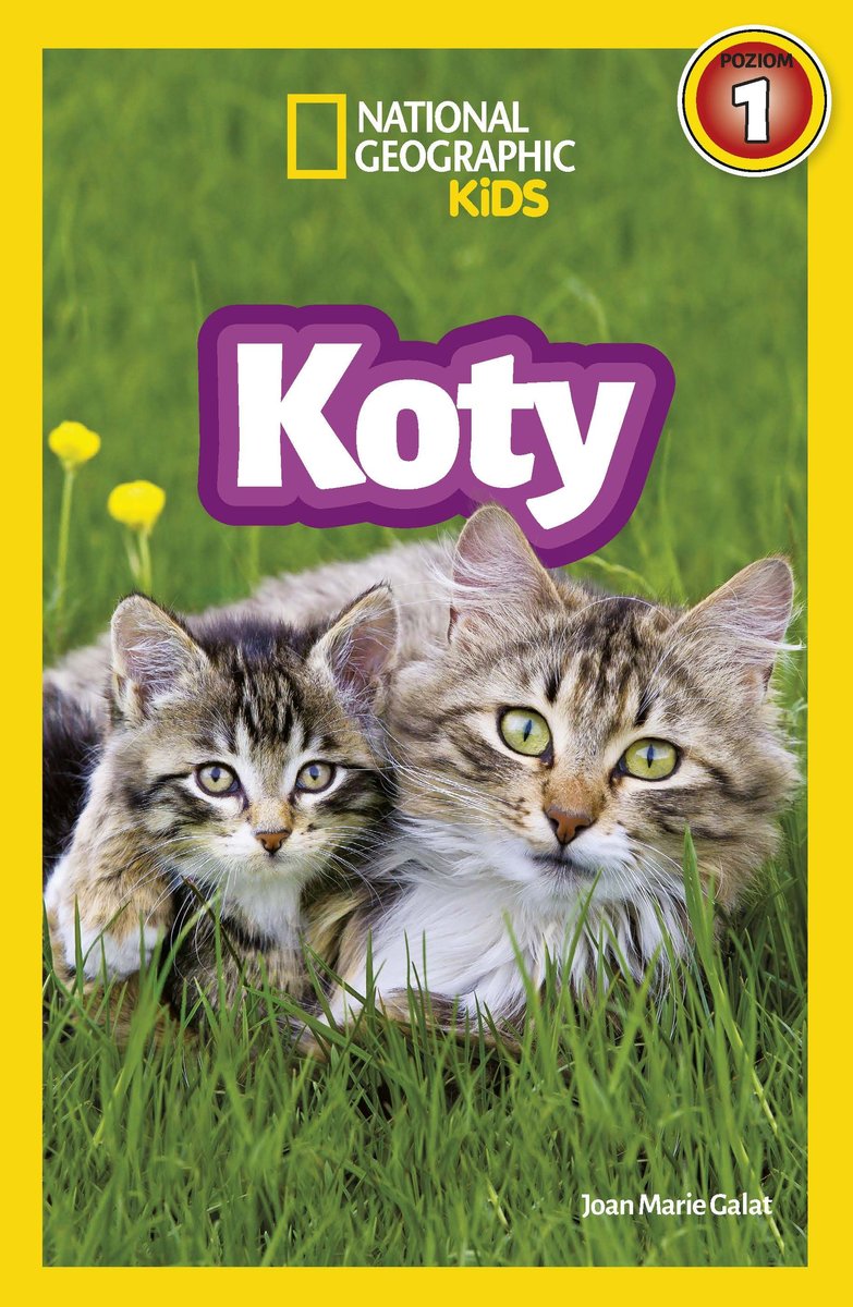 483368799 1033748742126799 5255015109950438295 N