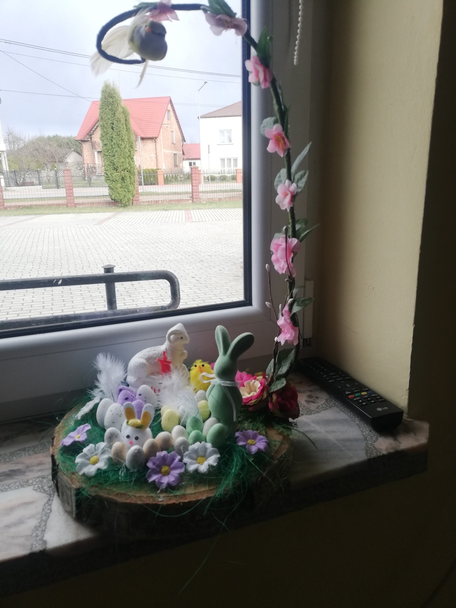 494152801 673299448618843 6292531835998460480 N