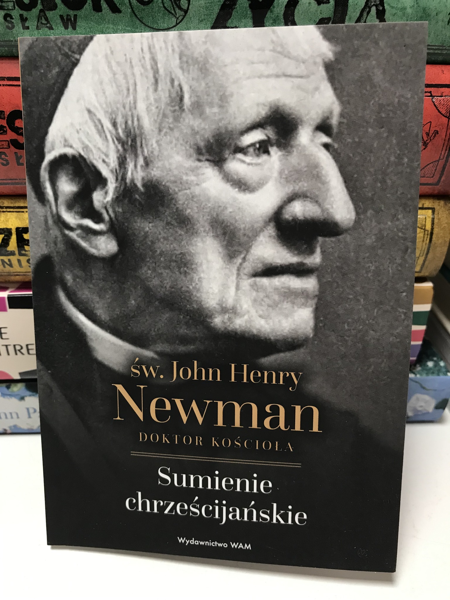 582960555 1685339936229885 3304502915441527515 N