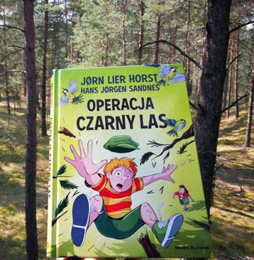 485350659 1040008174834189 6452525193187056012 N