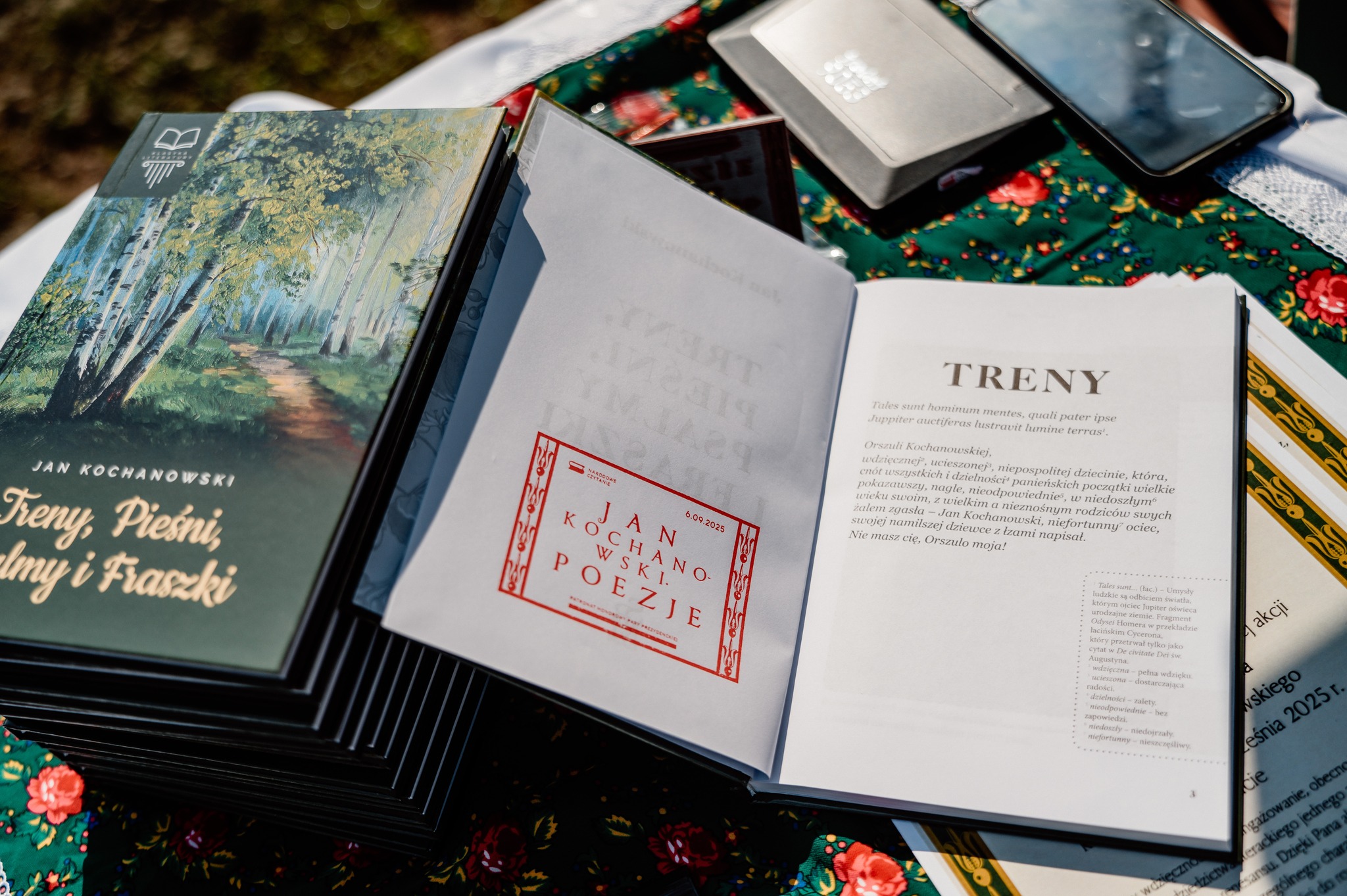 545387248 1199548742200515 3409022080612786708 N